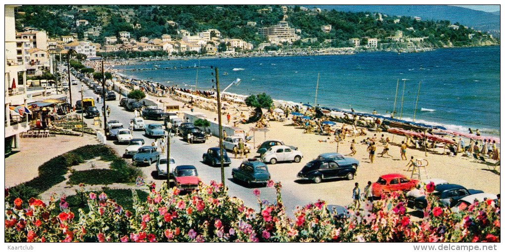 Le Lavandou: SIMCA ARIANE, ARONDE & CHATELAINE, PEUGEOT 203, RENAULT DAUPHINE & 4CV, CITROËN 2CV & DS - Plage  (F) - Passenger Cars