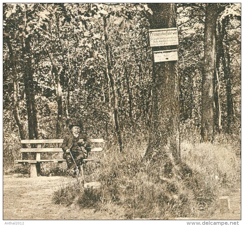 Rare Bad Soden Taunus Partie Bei Der Cronberger Chaussee Schild Promenadenfahrweg Personen Auf Parkbank 21.7.1919 - Bad Soden