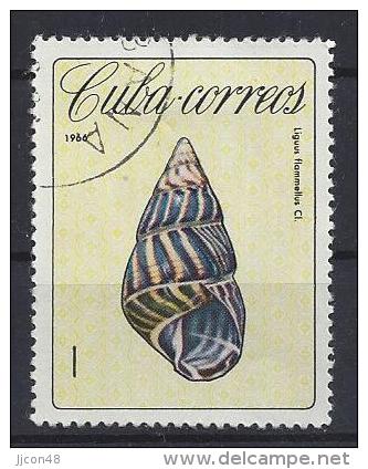 Cuba  1966   Cuban Shells  (o)  1c - Usati