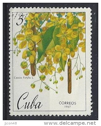 Cuba  1967   Cuban Botanical Gardens: Flowers  (o)  5c - Oblitérés