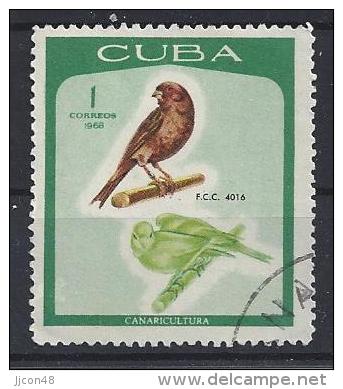 Cuba  1968  Canary Breeding  (o)  1c - Oblitérés