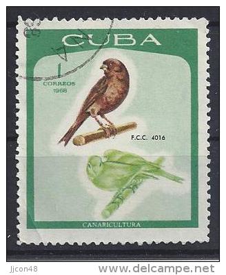 Cuba  1968  Canary Breeding  (o)  1c - Usati