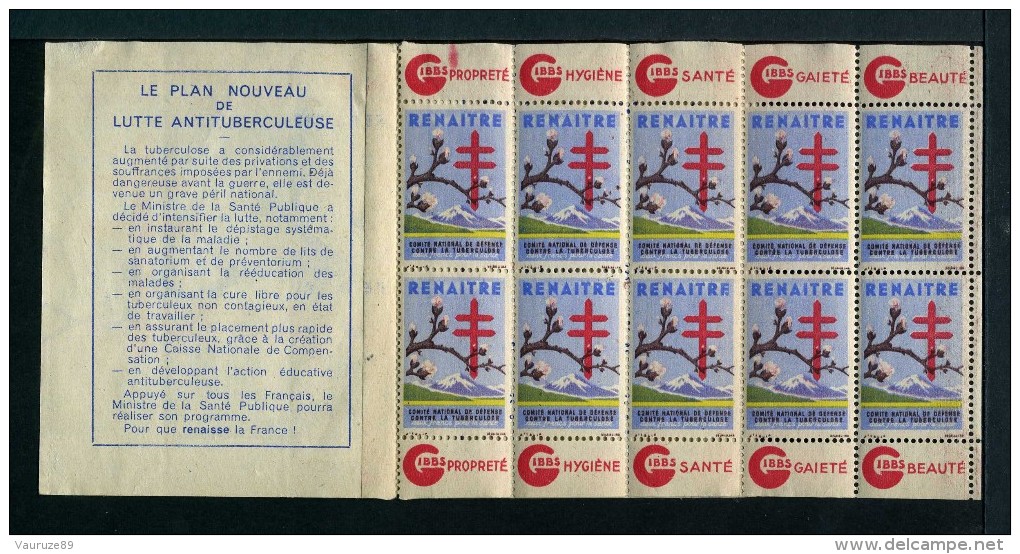 Carnet De 1945  - Tuberculose - Antituberculeux - PUB  GIBBS Rouge Nestlé Bébé Fleur Bourgeons - Antituberculeux