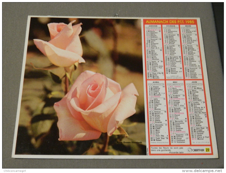 Calendrier 1985 - OBERTHUR 27 - Rose Queen Elisabeth - Photo Pictor - Formato Grande : 1981-90