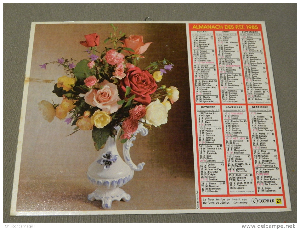 Calendrier 1985 - OBERTHUR 27 - Rose Queen Elisabeth - Photo Pictor - Grossformat : 1981-90