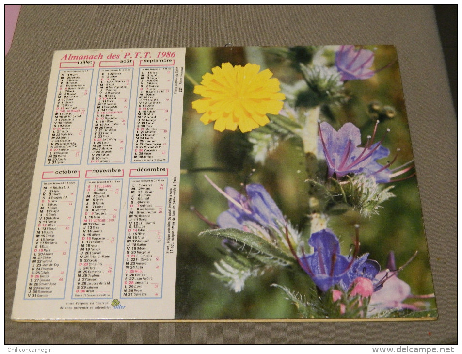 Calendrier 1986 - OLLER - Fleurs Sauvages - 227 - Photo Tapador De Selva - Age - Grand Format : 1981-90