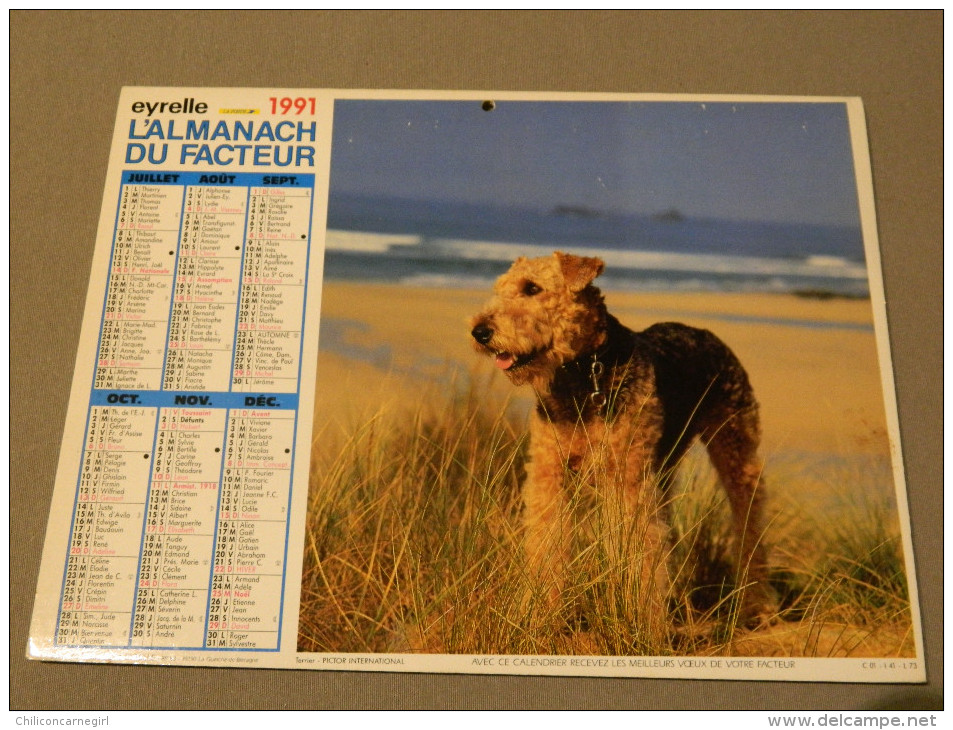 Calendrier 1991 - EYRELLE - PICTOR - Labradors - Terrier - Big : 1991-00