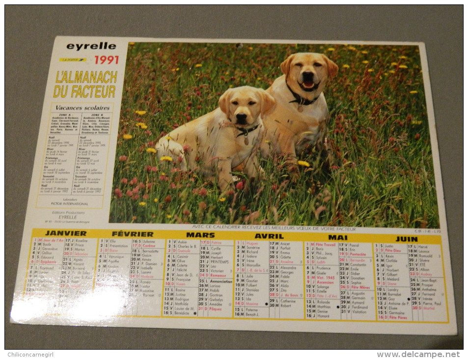 Calendrier 1991 - EYRELLE - PICTOR - Labradors - Terrier - Grossformat : 1991-00