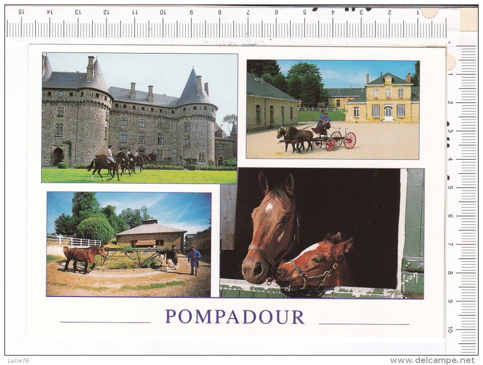 POMPADOUR   -  HARAS   NATIONAL  -  4    Vues  - Chevaux - Arnac Pompadour