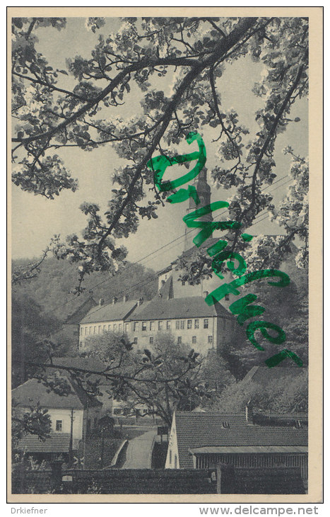 AK: Schloss Weesenstein, Zur Baumblüte, Um 1930 - Weesenstein A. D. Mueglitz