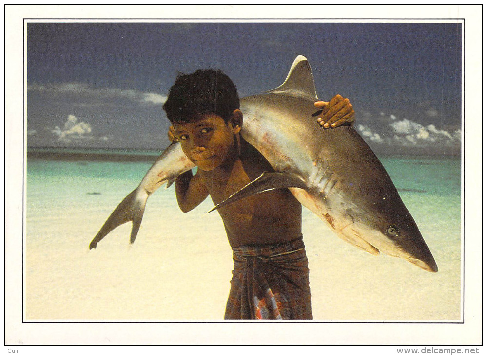 Asie > MALDIVES  (A) Islands White Tipped Shark Carried By A Young Child (enfant -requin à Pointe Blanche)   *PRIX FIXE - Maldives