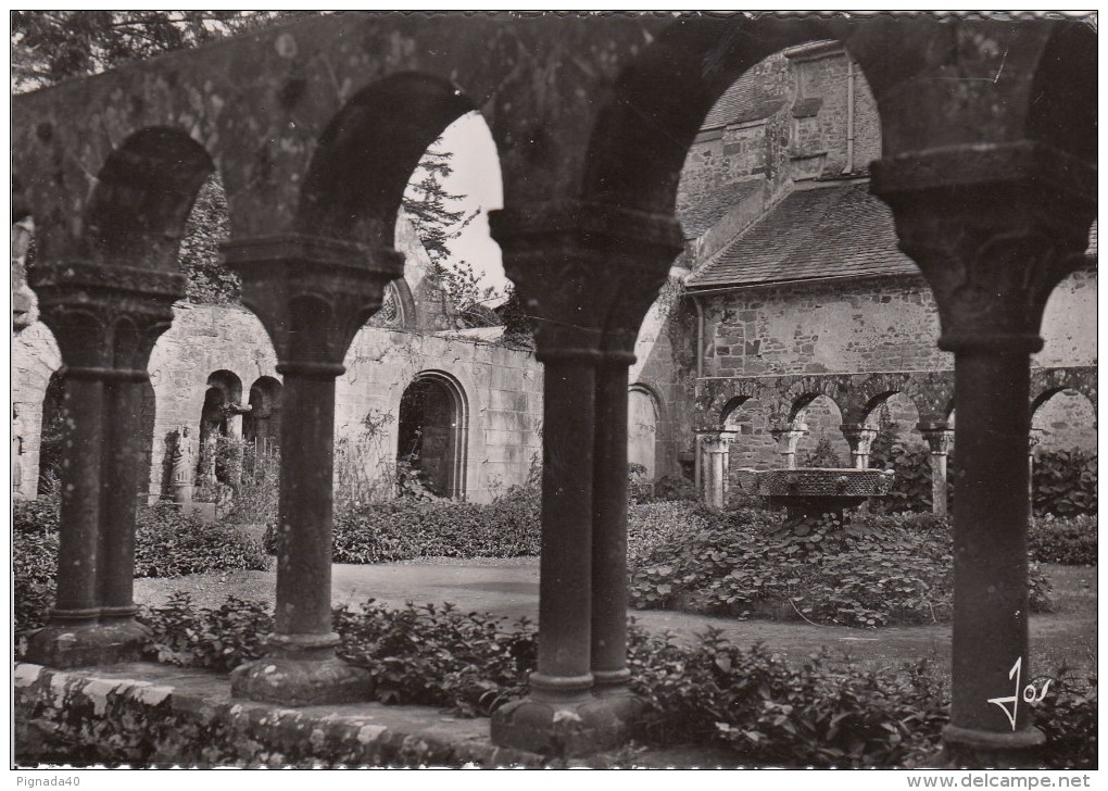 Cp , 29 , DAOULAS , Le Cloître De L'ancienne Abbaye Romane Avec Ses élégantes Colonnettes Du XIIIe S. - Daoulas