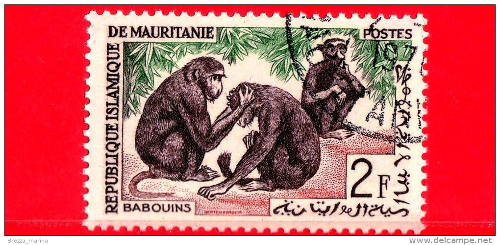 MAURITANIA - Nuovo Obl. - 1963 - Fauna Nativa - Babbuini - Babouins - 2 - Mauritania (1960-...)