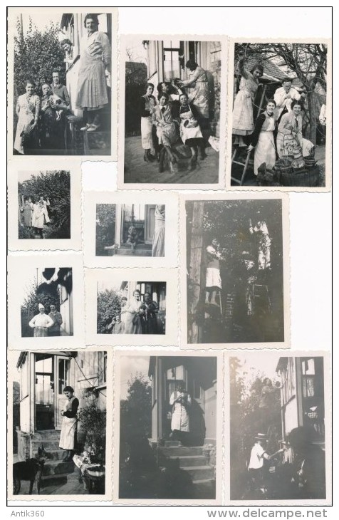 Lot De 11 Photos Amateur Cachan 1938 - Photographie Ancienne - No CPA - Cachan