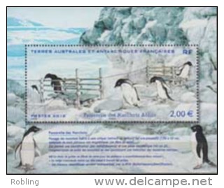 Antarctica - T.A.A.F.2016, Penguins, MNH 20166 - Nuevos