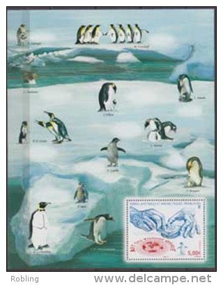 Antarctica - T.A.A.F.2013, Penguins, Antarctic, MNH 20168 - Ongebruikt