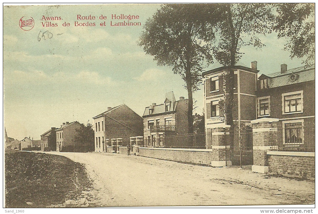 AWANS - Route De Hollogne - Villas De Bordes Et Lambinon - LEGIA - Circulé: 1924 - Awans