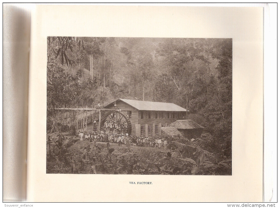 Livret 10 Photographies Souvenir Of  Ceylon N°1 Colombo Apothecaries Sri Lanka  Usine De Thé Factory Pettah Mutwal - Photographie