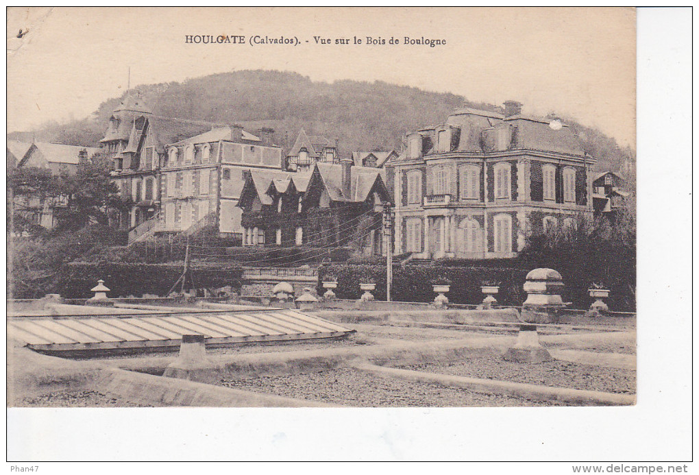 HOULGATE (14 - Calvados), Vue Sur Le Bois De Boulogne, Serres, - Houlgate