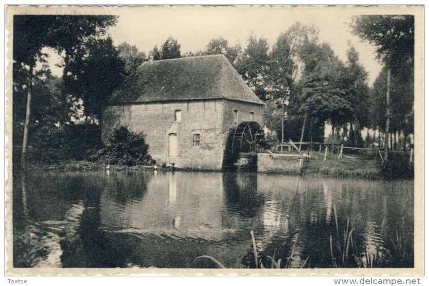 Retie - De Watermolen - Retie