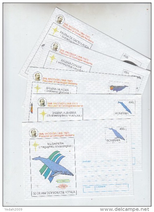 Romania WHALES STUDY OF CETACEAN SET 5 MINT ENVELOPES 1997 - Baleines