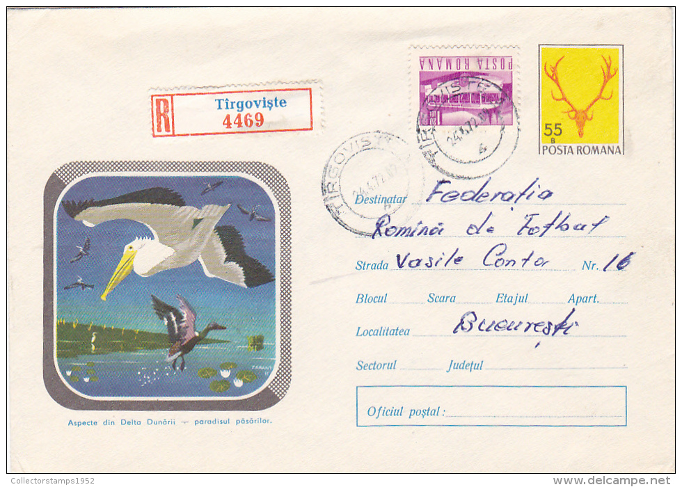 5091A PELICANS, 1971, REGISTRATE, COVER STATIONARY, SEND TO MAIL, ROMANIA - Pélicans