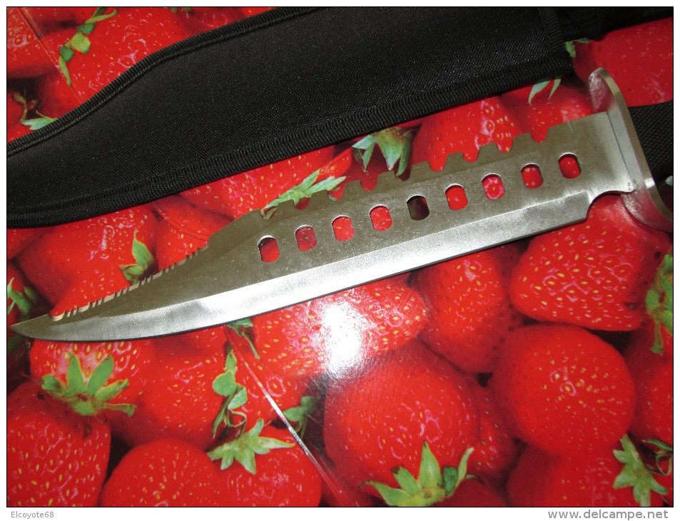 Couteau Fourreau Noir - Knives/Swords