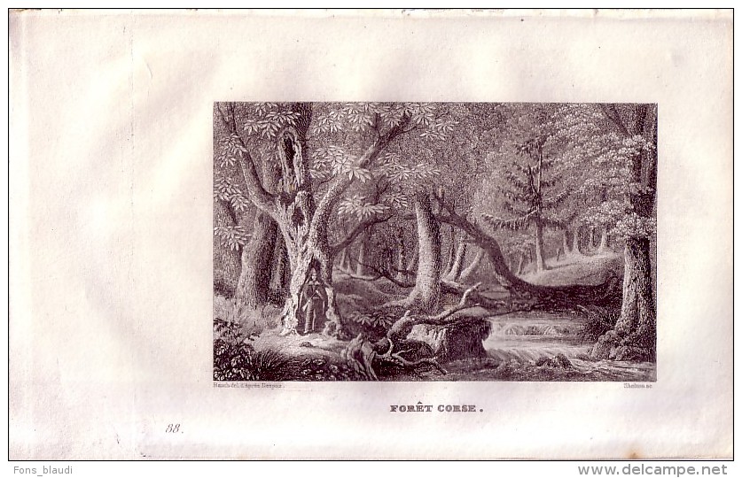 1834 - Gravure Sur Cuivre - Forêt Corse - FRANCO DE PORT - Estampes & Gravures