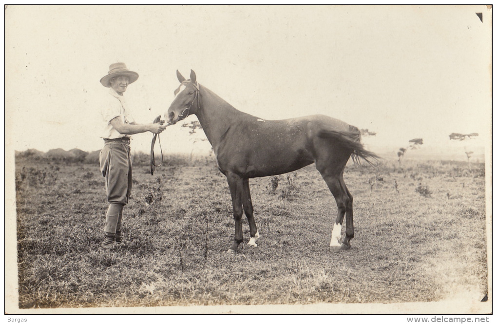 Photo Carte Postale Nigeria Hippodrome à Lagos Vers 1910 Course De Chevaux - Afrique