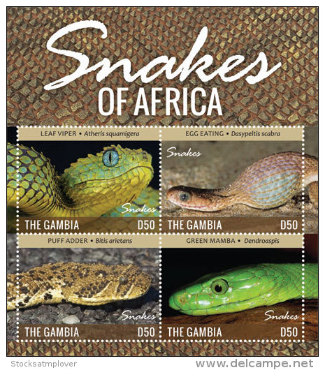 Gambia-2015-Fauna-Reptiles-Snakes Of Africa - Other & Unclassified