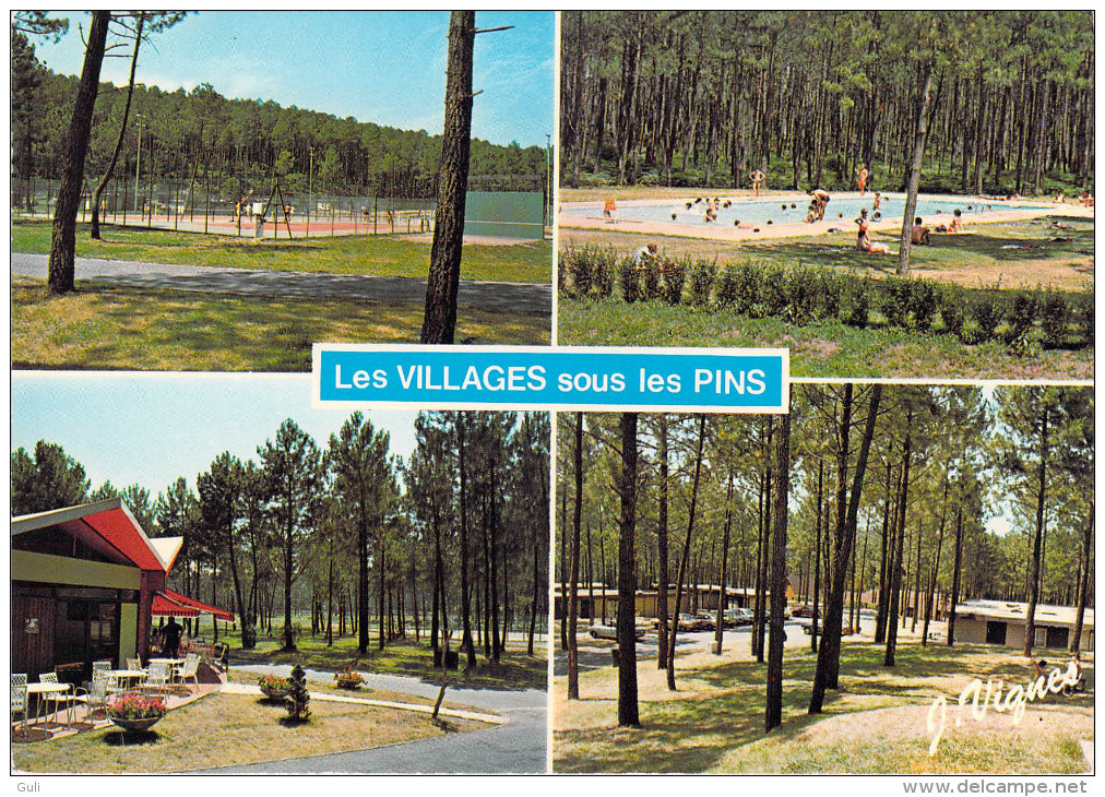 40 Landes (Canton De Castets)  LEON  Multi Vues  Au Coeur De La Forêt Sous Les Pins *PRIX FIXE - Castets