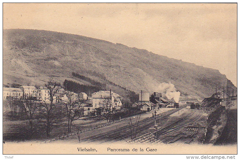 Vielsalm 86: Panorama De La Gare - Vielsalm