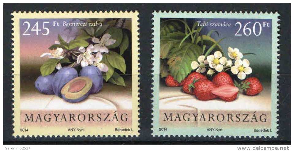 HUNGARY 2014 FLORA Plants FRUITS - Fine Set MNH - Nuovi