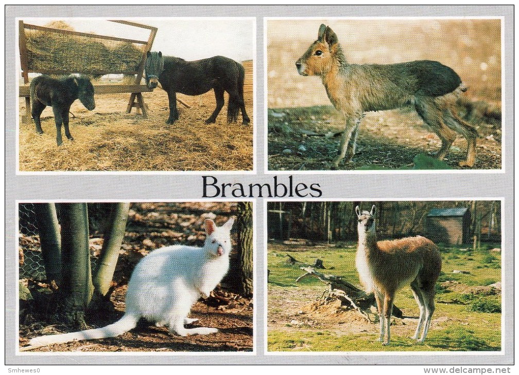 Postcard - Brambles, Kent. C12607X - Other & Unclassified