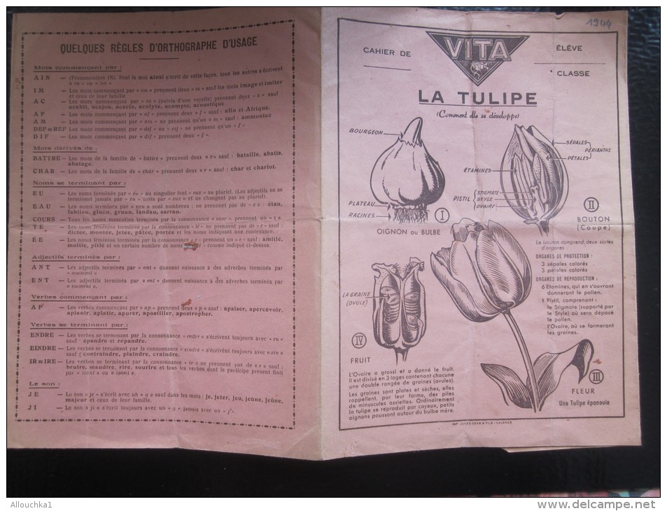 1944 Protège-cahiers Publicitaire Les Graines Vivantes Fleurs VITA: La Tulipe  Verso Quelque Règle D'orthographe D'usage - Farm