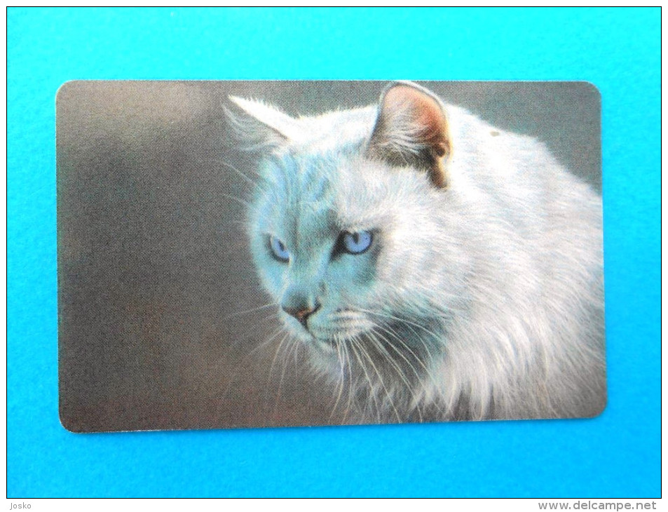 KOSKA  ( Russia Old Chip Card) Cat Chat Gato Katze Felino Matou Gatto Gatta Cats Chats Chatte Fauna Faune Animals Animal - Russia