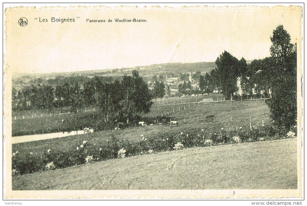 Les Boignées :  Panorama De Wauthier-Braine - Braine-le-Chateau