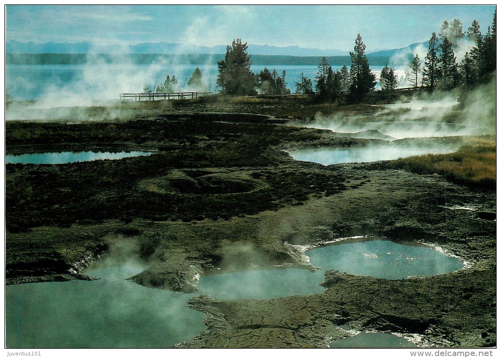 CPSM Yellowstone National Park-Geyser Basin-West Thumb   L1854 - Yellowstone