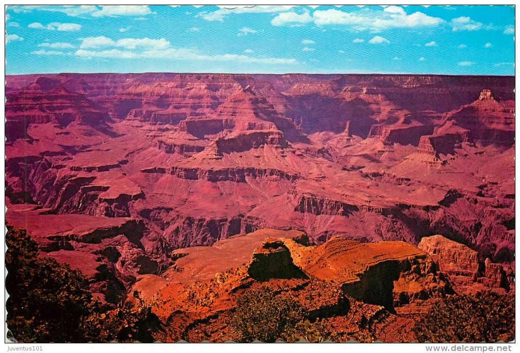 CPSM Grand Canyon National Park   L1854 - Yellowstone