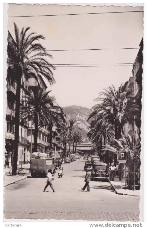 TOULON ,var,l´avenue COLBERT,avant Sa Rénovation,1950,scooter Italien,une Avenue Déja Bien Animée,édition Bouvet - Toulon