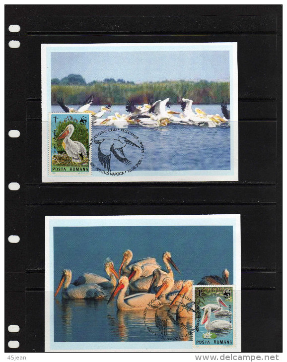 Roumanie: 2005 4 Bellles Cartes Maximum Oiseaux Pélicans - Pelikanen