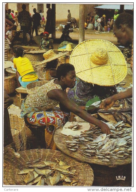 AFRIQUE,AFRIKA,AFRICA,Sén égal,vendeuse De Poisson,poissons,métier,m Archande,vendeuse,marché, Panier - Senegal