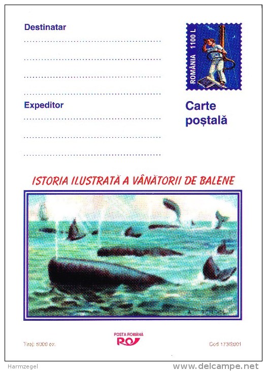 Postwaardestuk, Postal Stationery, Walvis, Whale, Zeezoogdier, Mammal, Kraaiennest, Crow's Nest, Matroos, Seaman - Baleines