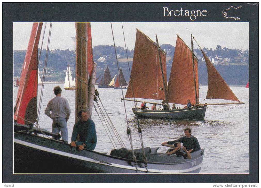 Cp , RÉGION BRETAGNE , Vieux Gréements En Régate (Douarnenez - 1988) - Bretagne