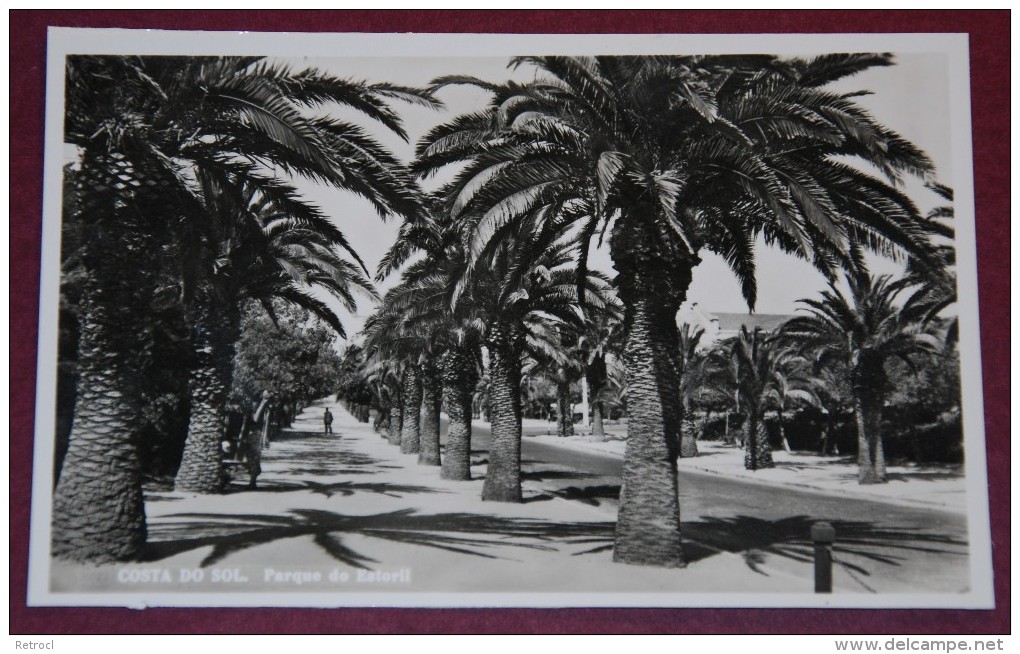 PORTUGAL - Costa Do Sol - Parque Do ESTORIL - Perfect Shape - Trees