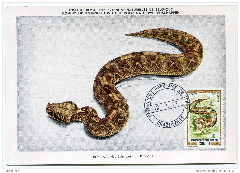 CONGO CARTE MAXIMUM DU N°294  30F. REPTILE OBLITERATION BRAZZAVILLE 19-1-72 - FDC