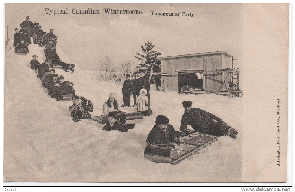 TYPICAL CANADIAN WINTERSCENE  TOBOGGANING PARTY - Cartes Modernes