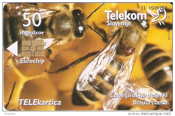 TARJETA DE ESLOVENIA DE UNAS ABEJAS EN UN PANAL  (BEE - ABEJA) - Honeybees