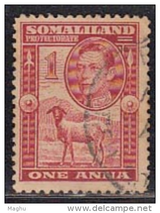 Used Somaliland Protectorate 1938, One Anna King George VI, Sheep, Farm Animal (sample Image) - Somaliland (Protectoraat ...-1959)