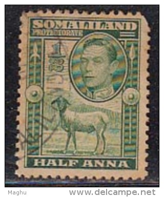 Used  Somaliland Protectorate 1938, Half Anna King George VI, Sheep, Farm Animal, Cond., As Scan - Somaliland (Protectoraat ...-1959)